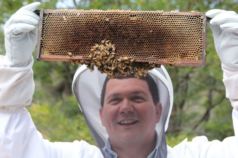 Intel rusza na ratunek pszczołom