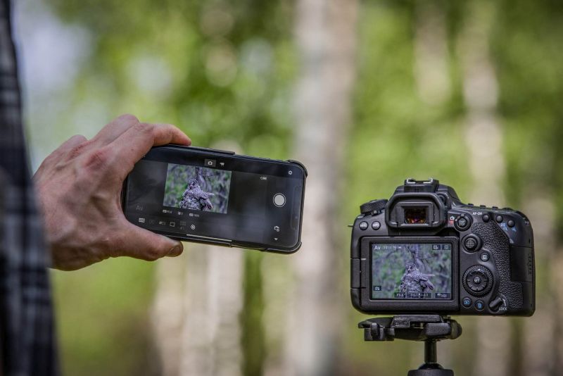 Nowości Canon EOS. Następca popularnej lustrzanki APS-C  dla vlogerów i zaawansowany bezlusterkowiec
