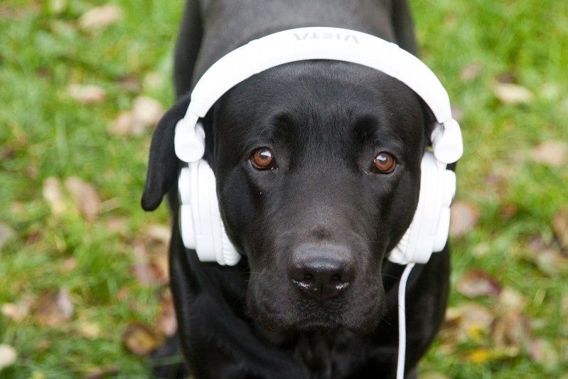  VIETA Headphones Pro - Profesjonalne słuchawki dla DJ-ów