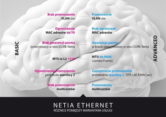 Netia Ethernet (klasy operatorskiej) w nowym, prostszym wydaniu