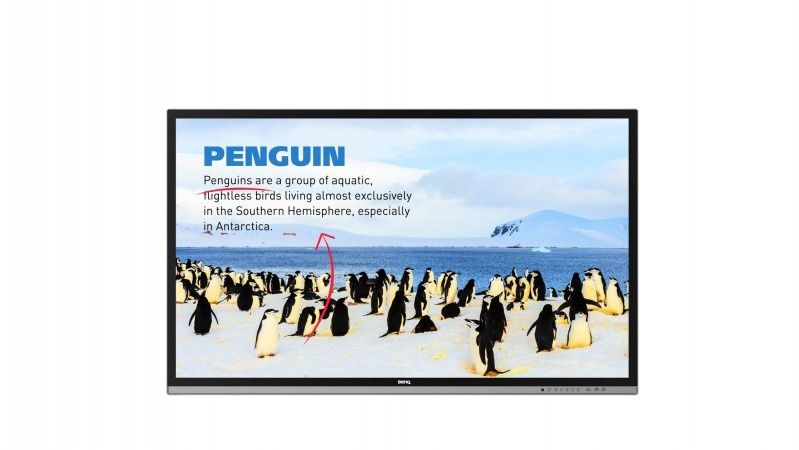 55” BenQ RP552H - 10 pkt. panel dotykowy Flicker-free z Androidem