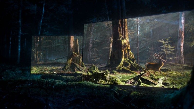 Nowy telewizor OLED Sony BRAVIA rozświetla intensywnym blaskiem tajemniczy, mroczny las (wideo)