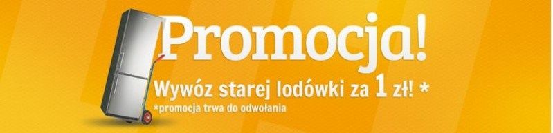 Jak pozbyć się starej lodówki? Pomóc może sklep internetowy 